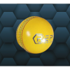 Cricket Balls
